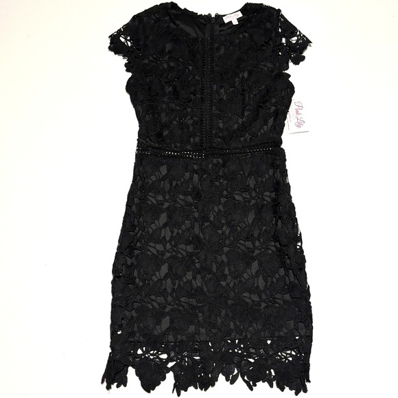 NEW Pink Lily Black Lace Short Sleeve Dress Medium Crochet Whimsigoth Dark Fairy - Picture 2 of 10